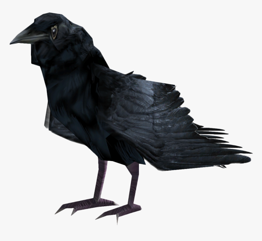 Common Raven Png Photo - Fallout 4 Raven, Transparent Png, Free Download