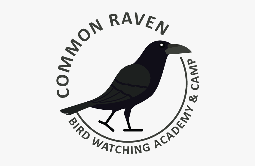 Common Raven Picture - Fish Crow, HD Png Download, Free Download
