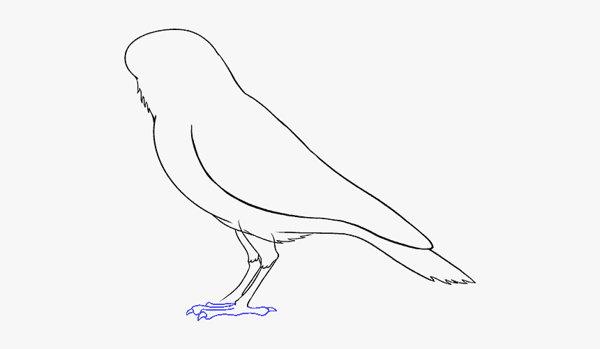 How To Draw Raven - Kite, HD Png Download, Free Download