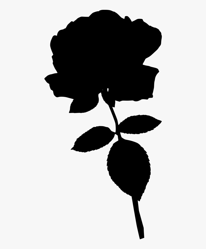 Rose Centifolia Png, Transparent Png, Free Download