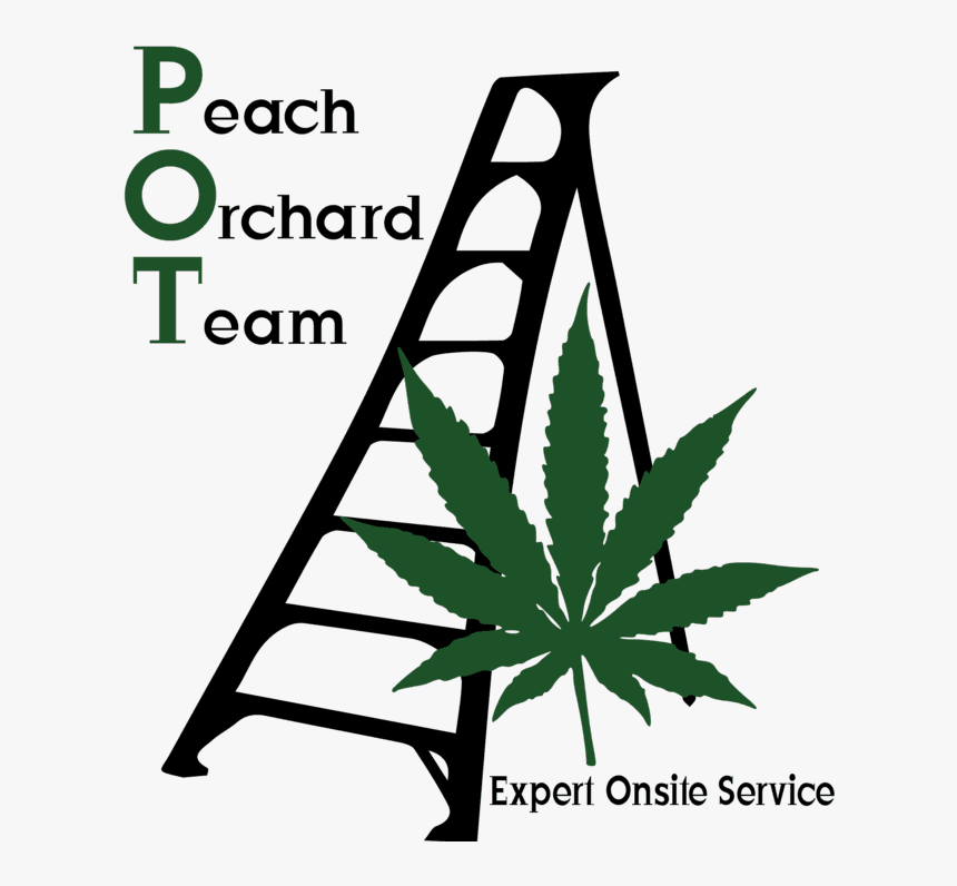 Peach Orchard Team Logo, HD Png Download, Free Download