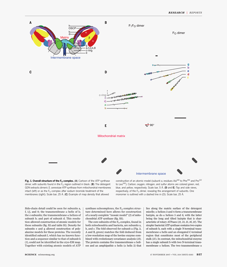 Folio Eleven From Burchard Of Sion's De Locis Ac Mirabilibus, HD Png Download, Free Download