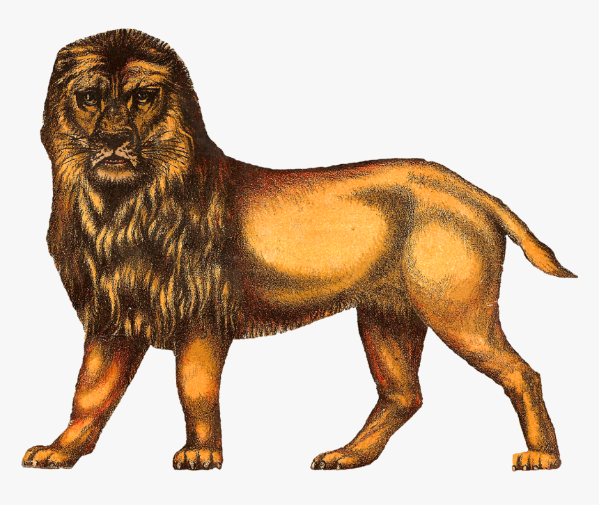 Vintage Circus Clipart Lion, HD Png Download, Free Download