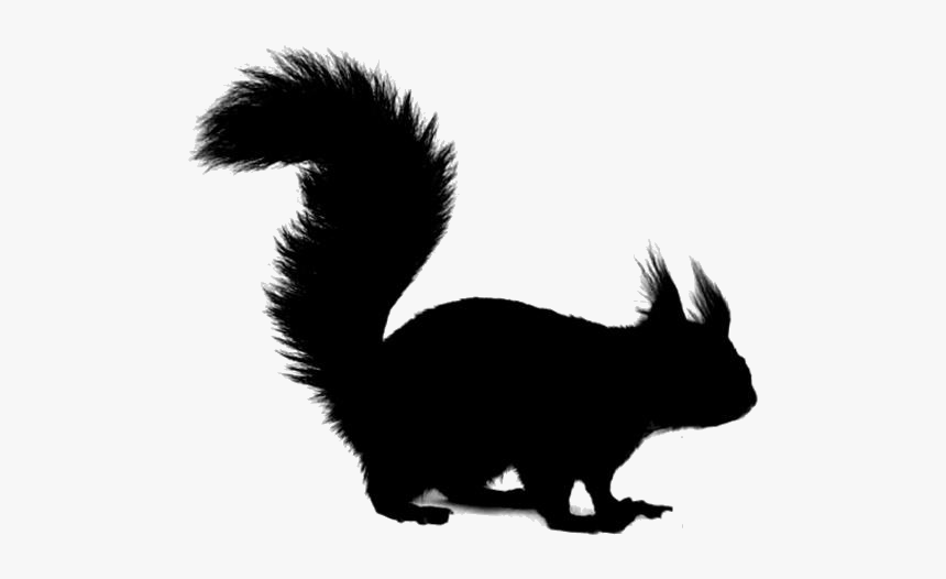 Fox Squirrel, HD Png Download, Free Download