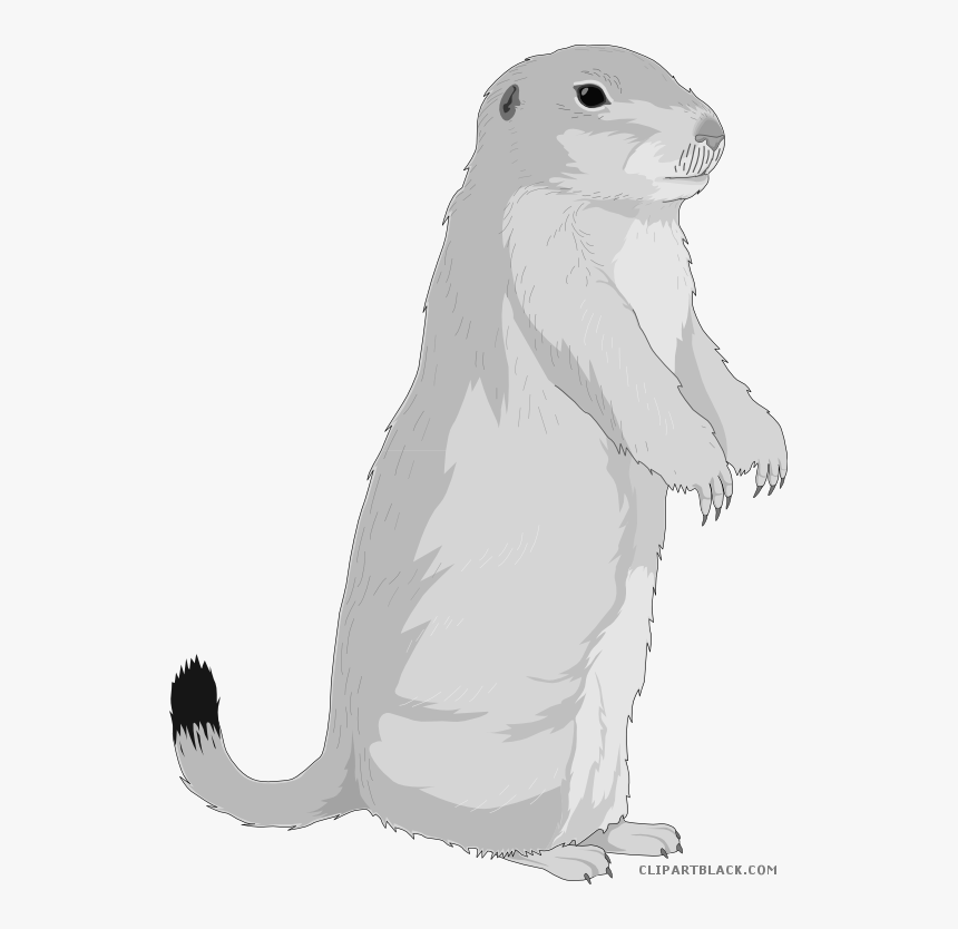 Transparent Squirrel Silhouette Png - Prairie Dog Png Transparent, Png Download, Free Download