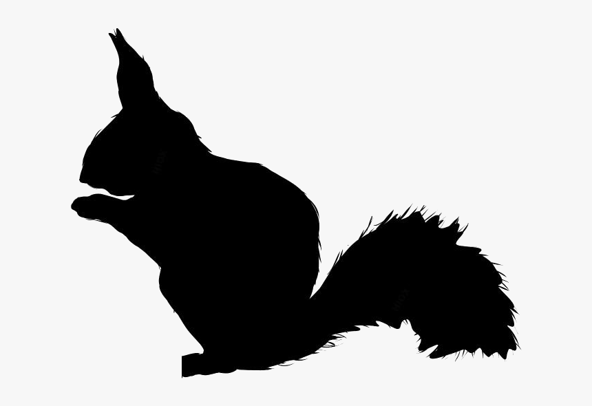 Eichhörnchen Silhouette, HD Png Download, Free Download