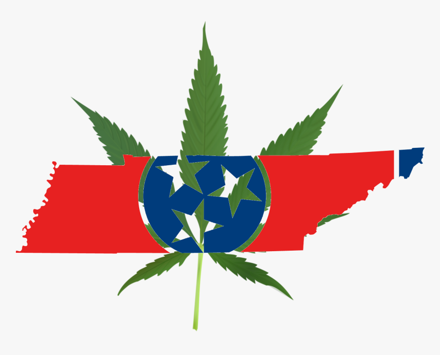 Weed Symbol Png -as Of Late, There Seems To Have Been - Cannabis Leaf, Transparent Png, Free Download