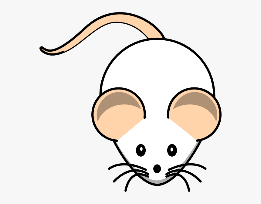 Rat Clipart, HD Png Download, Free Download