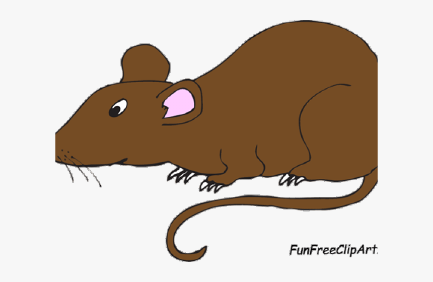 Transparent Cartoon Rat Png - Rat Clipart, Png Download, Free Download