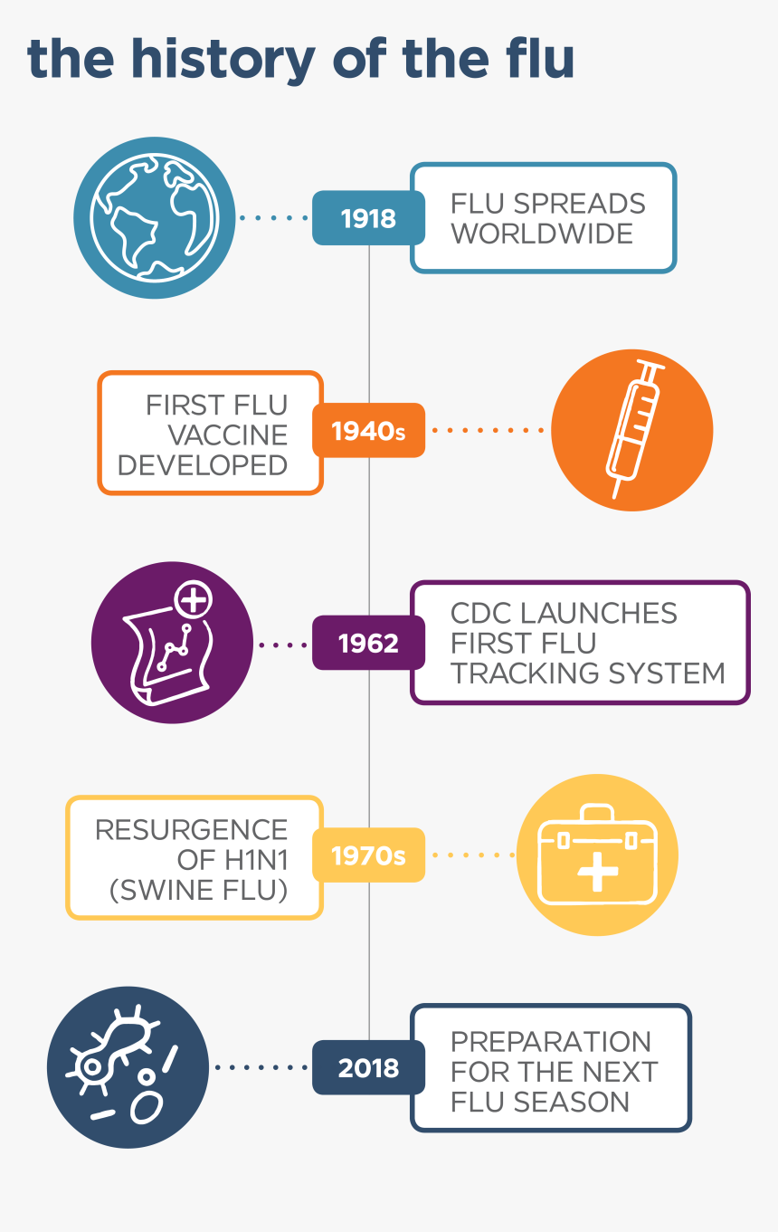 Flu Season Infographic 2019, HD Png Download, Free Download