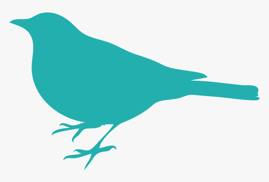 Bird Silhouette Clip Art, HD Png Download, Free Download