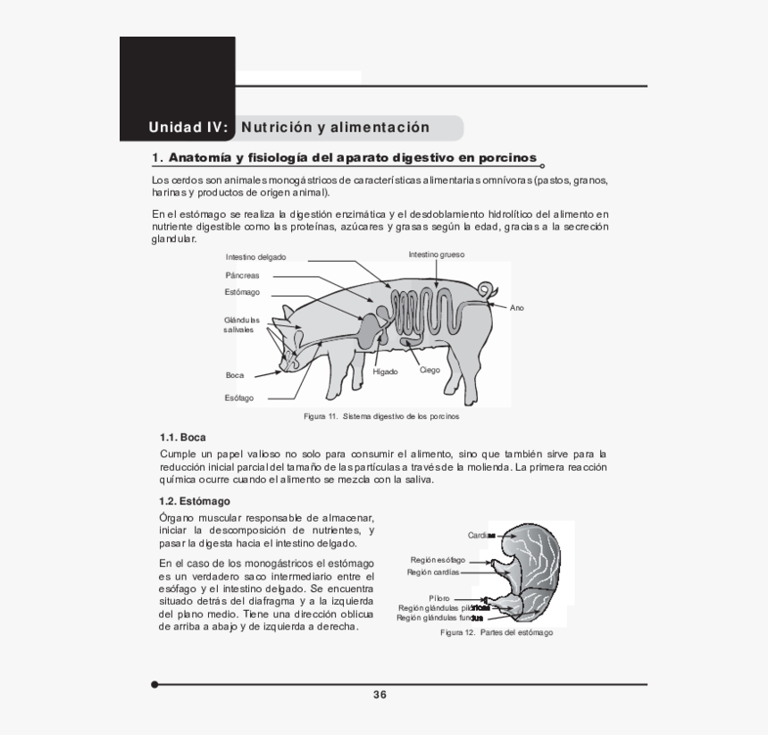 Diagram, HD Png Download, Free Download