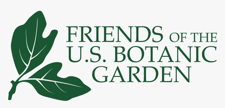 Garden Clipart Botanical Garden - Focus Enhancements, HD Png Download, Free Download