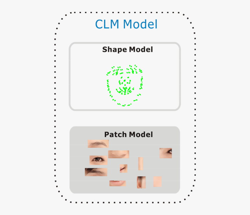 Constrained Local Models, HD Png Download, Free Download