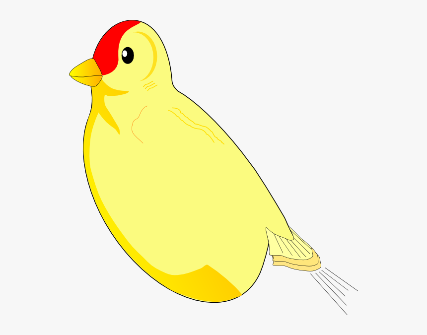 Bird Without A Wing, HD Png Download, Free Download