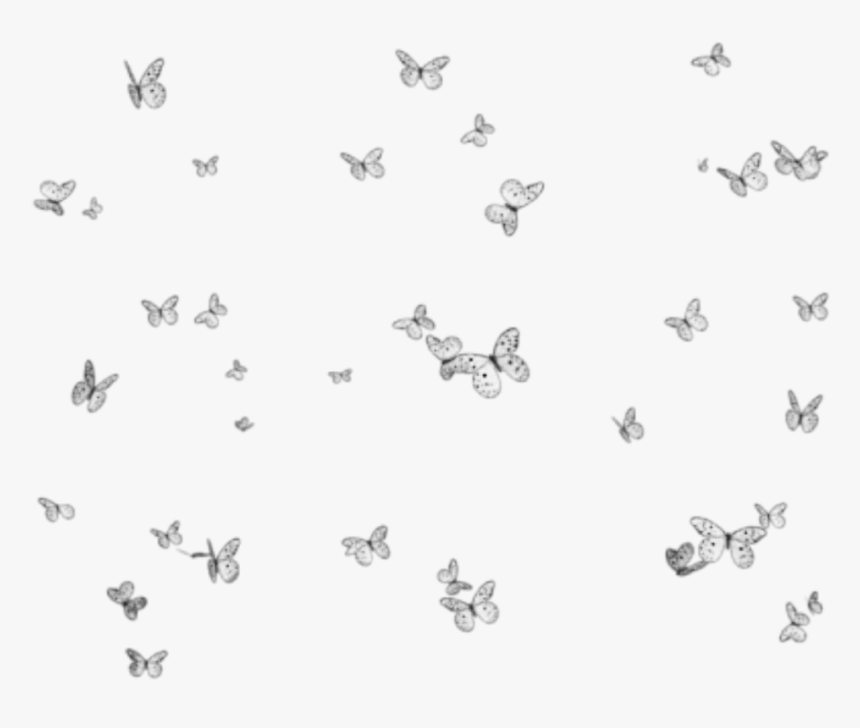 Transparent Mariposas Volando Png - Flores Png Fundo Transparente, Png Download, Free Download