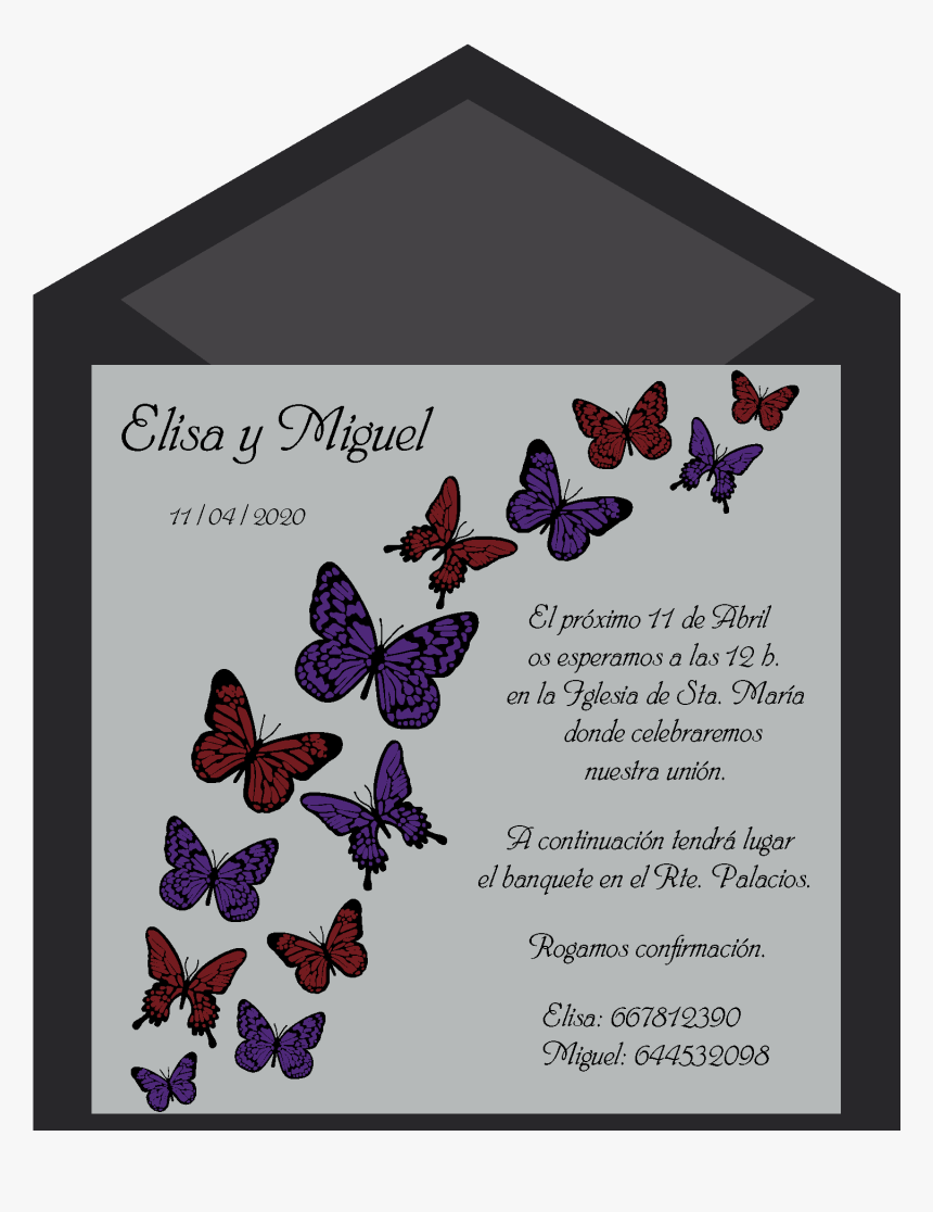 Invitaciones Mariposas Con Texto, HD Png Download, Free Download