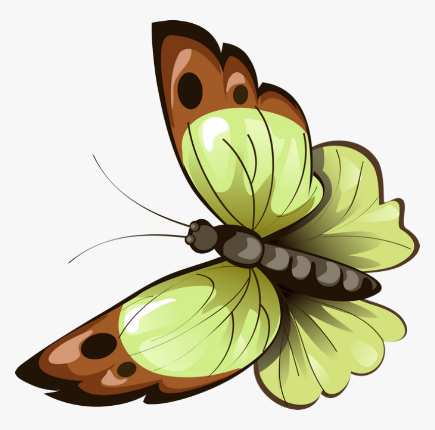 Butterfly, HD Png Download, Free Download