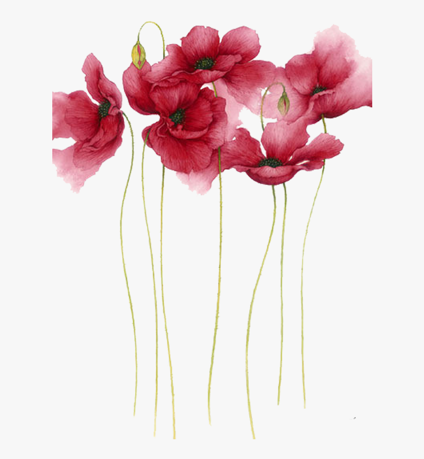 Flower Watercolor Painting Png, Transparent Png, Free Download