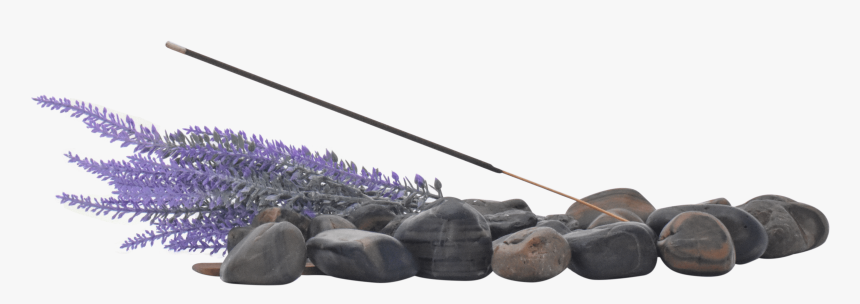 Pendy Co Lavender Incense Product Image - Cannon, HD Png Download, Free Download