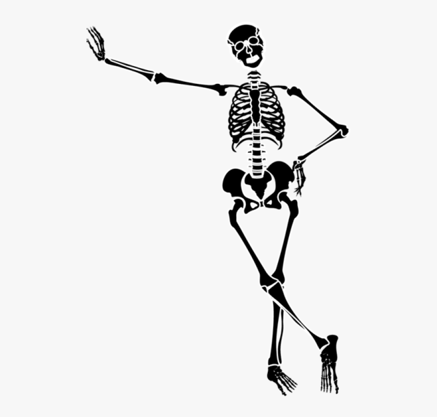 Skeleton Images Image Free Download Png Clipart - Skeleton Clipart No Background, Transparent Png, Free Download