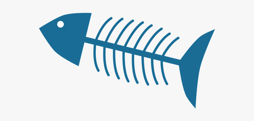 Fish Bones Png Download - Fish Bone Png, Transparent Png, Free Download