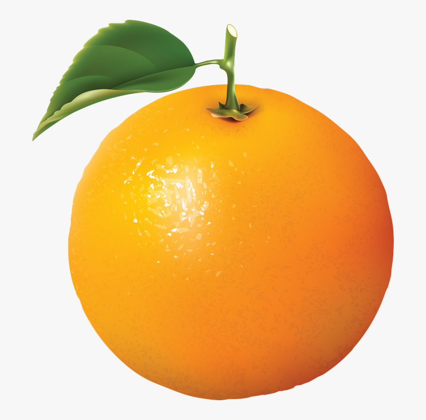 Orange Fruits, HD Png Download, Free Download