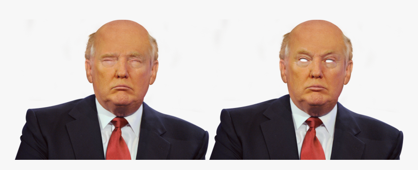 Transparent Trump - Trumpdonald Org, HD Png Download, Free Download