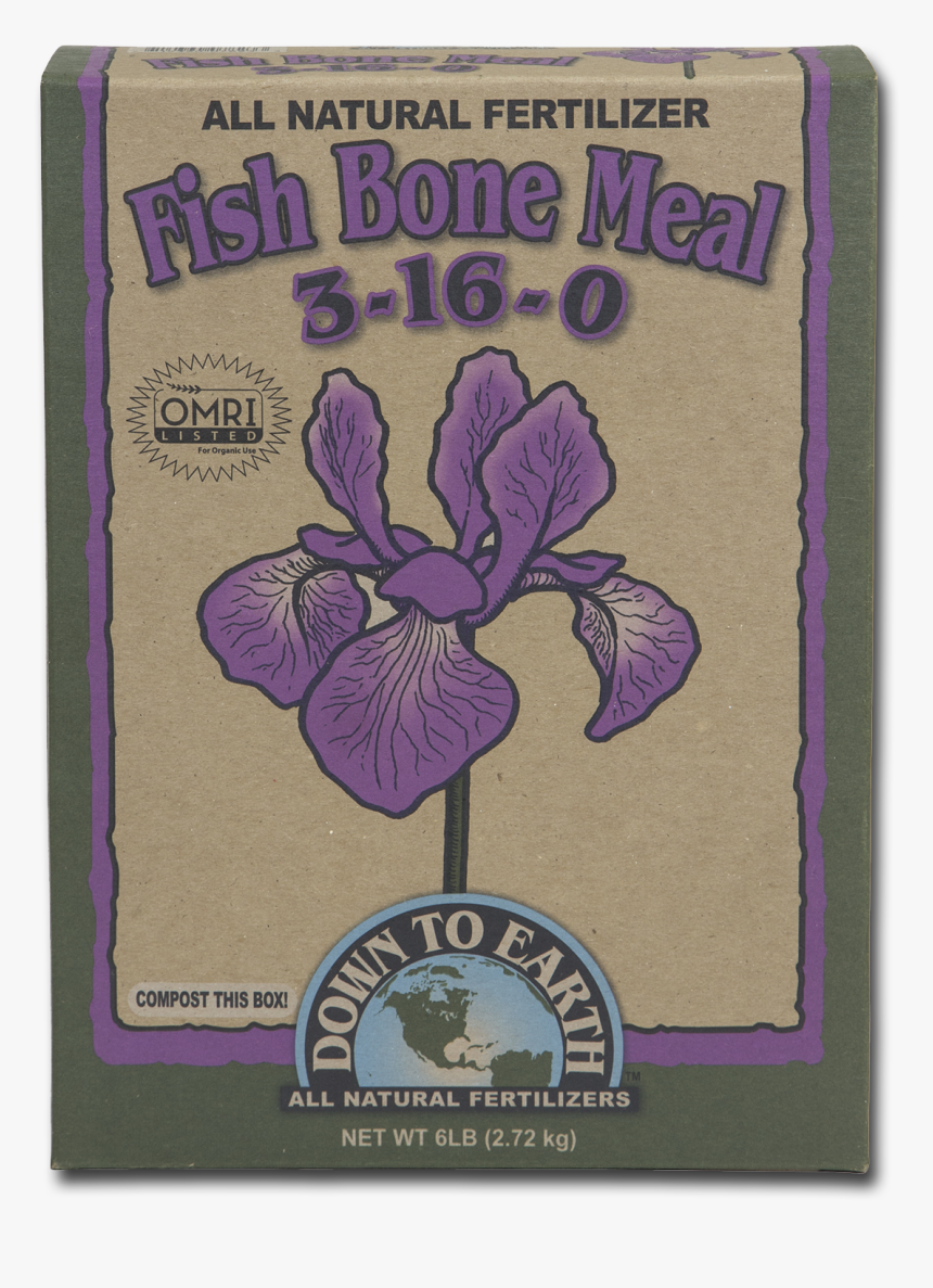 Yellow Iris, HD Png Download, Free Download