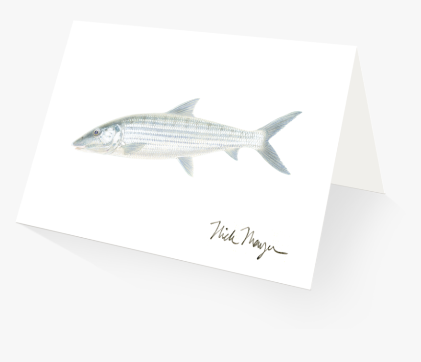 Transparent Bone Fish, HD Png Download, Free Download