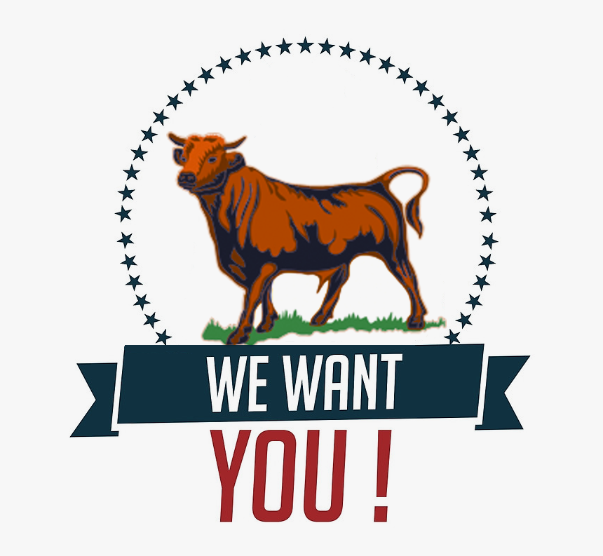 We Want You Bull - We Want You, HD Png Download, Free Download