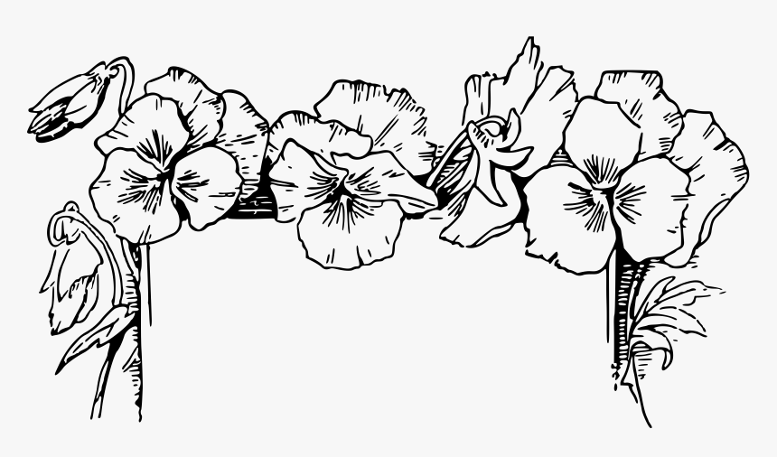 Flower Border Clipart Black And White, HD Png Download, Free Download