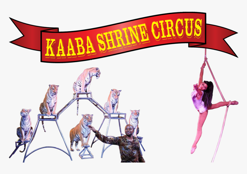 Banner For The Kaaba Shrine Circus - Cartoon, HD Png Download, Free Download