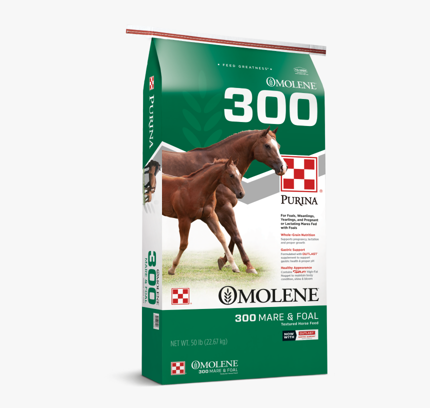 Omolene 300 Growth Horse Feed - Purina Omolene #100 Active Pleasure Horse Feed, HD Png Download, Free Download