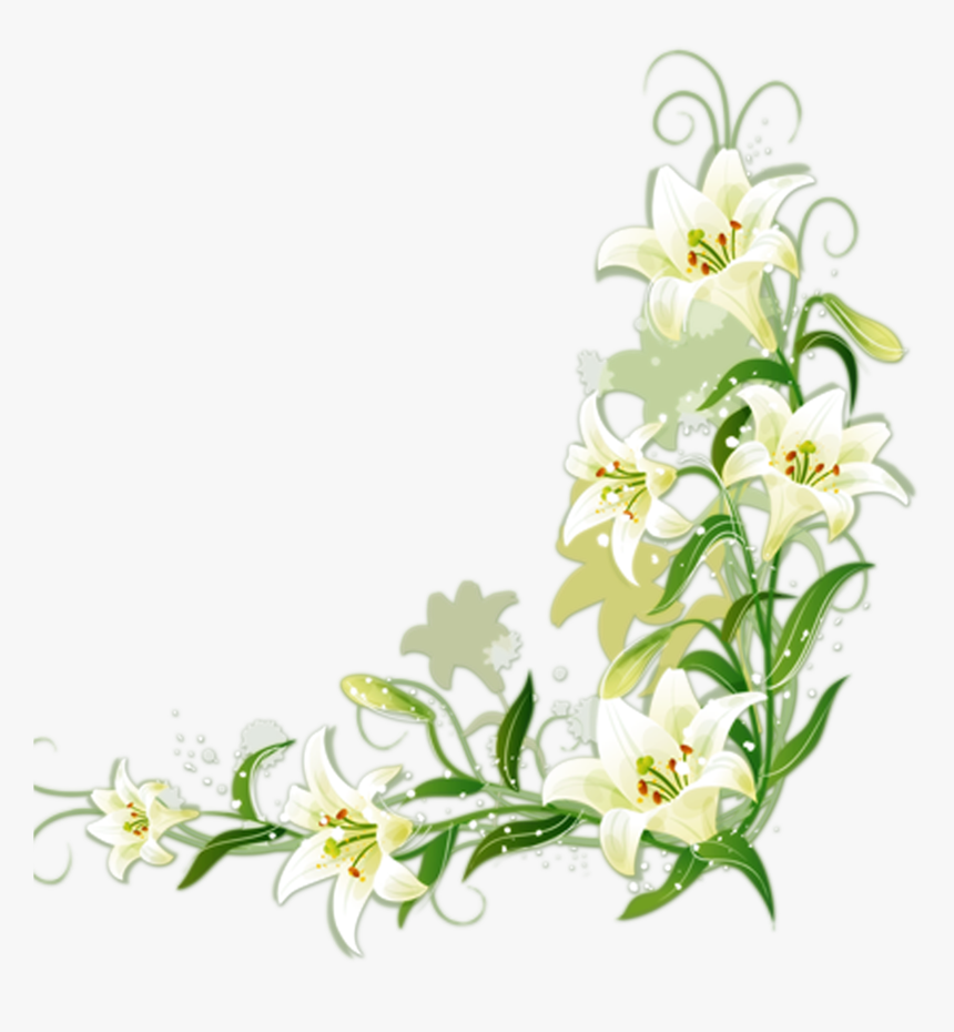 Lilium Candidum Border Flowers - White Flower Border Png, Transparent Png, Free Download
