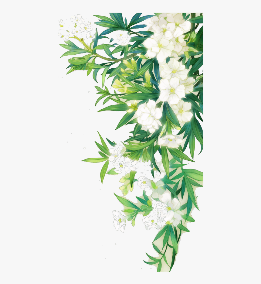 #white #flower #nature #border #leaves #landscape - Border White Flower Png, Transparent Png, Free Download