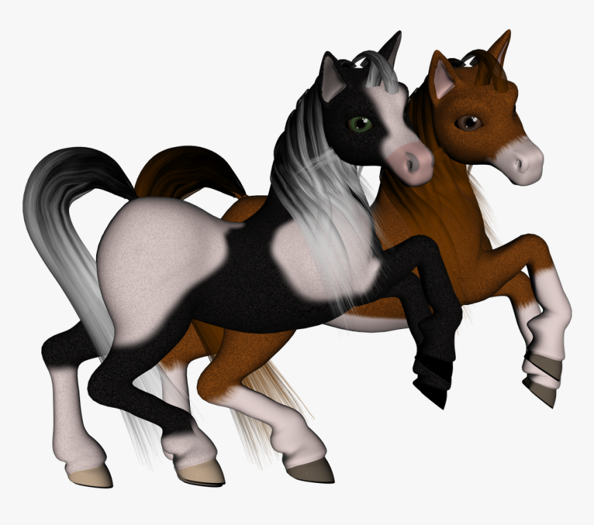 Transparent Foal Png - Foal, Png Download, Free Download