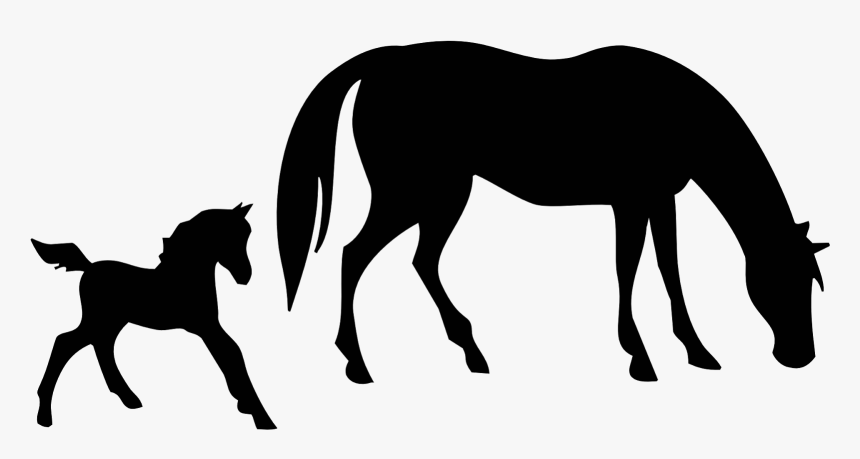 6 Backgrounds - Foal Horse Silhouette, HD Png Download, Free Download