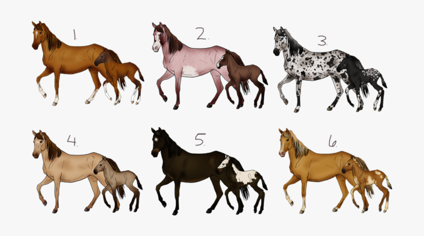 Horse Deviantart Sale, HD Png Download, Free Download