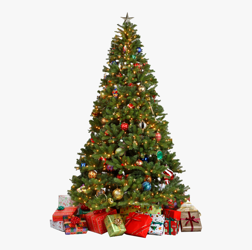 Christmas Tree Png - Decorated Christmas Tree Png, Transparent Png, Free Download