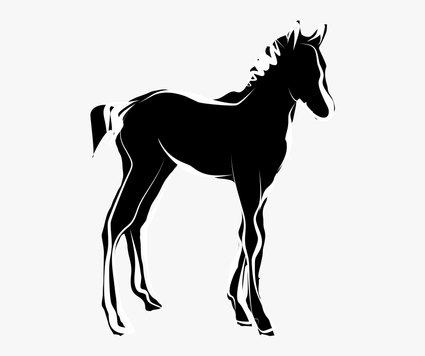 Foal Icon, HD Png Download, Free Download