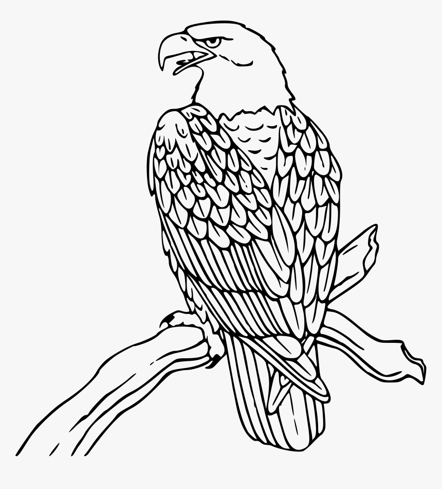 Mexican Eagle Drawing Flag Coloring Page Free Download - Bald Eagle