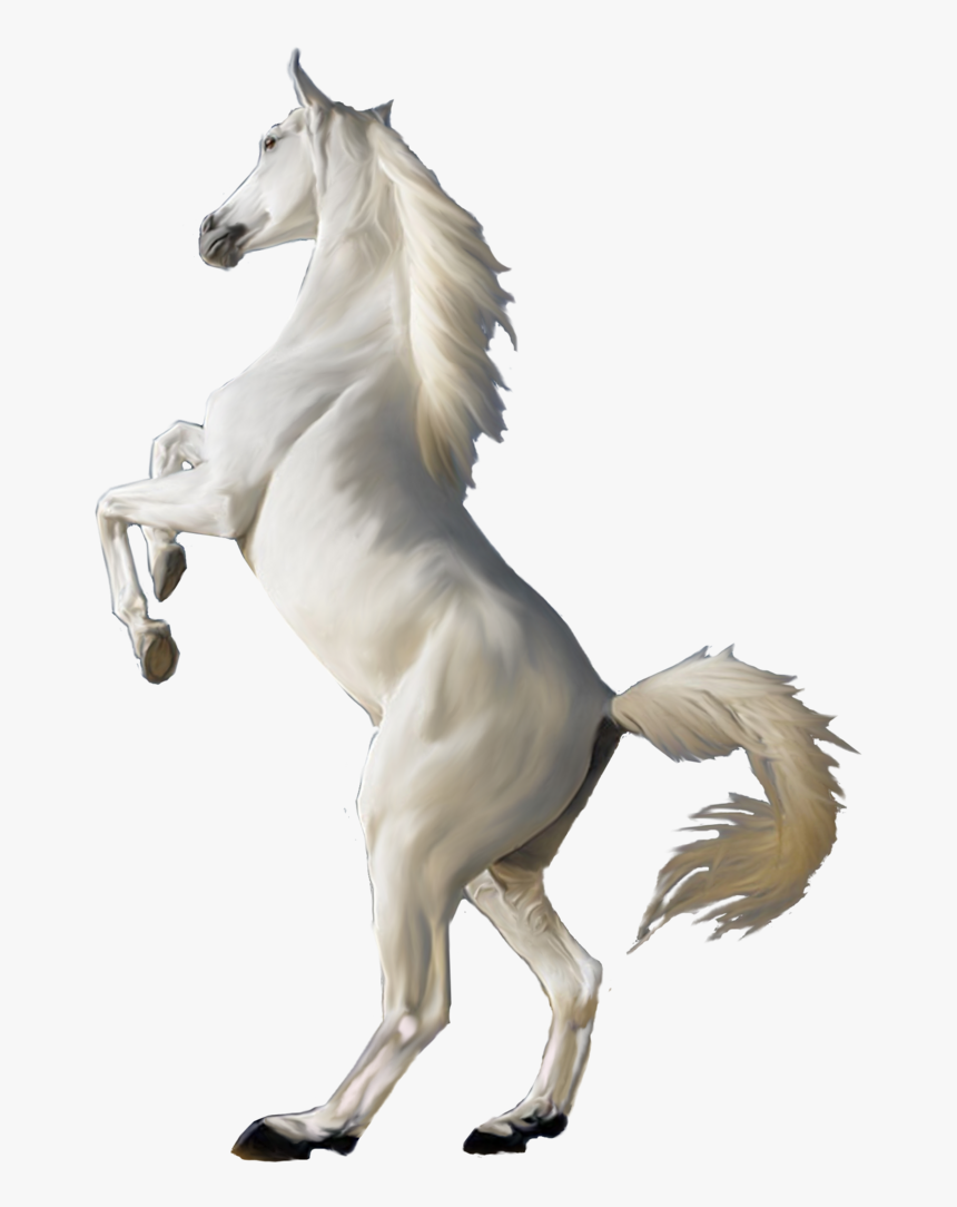 White Horse Png Image - White Horse Png, Transparent Png, Free Download