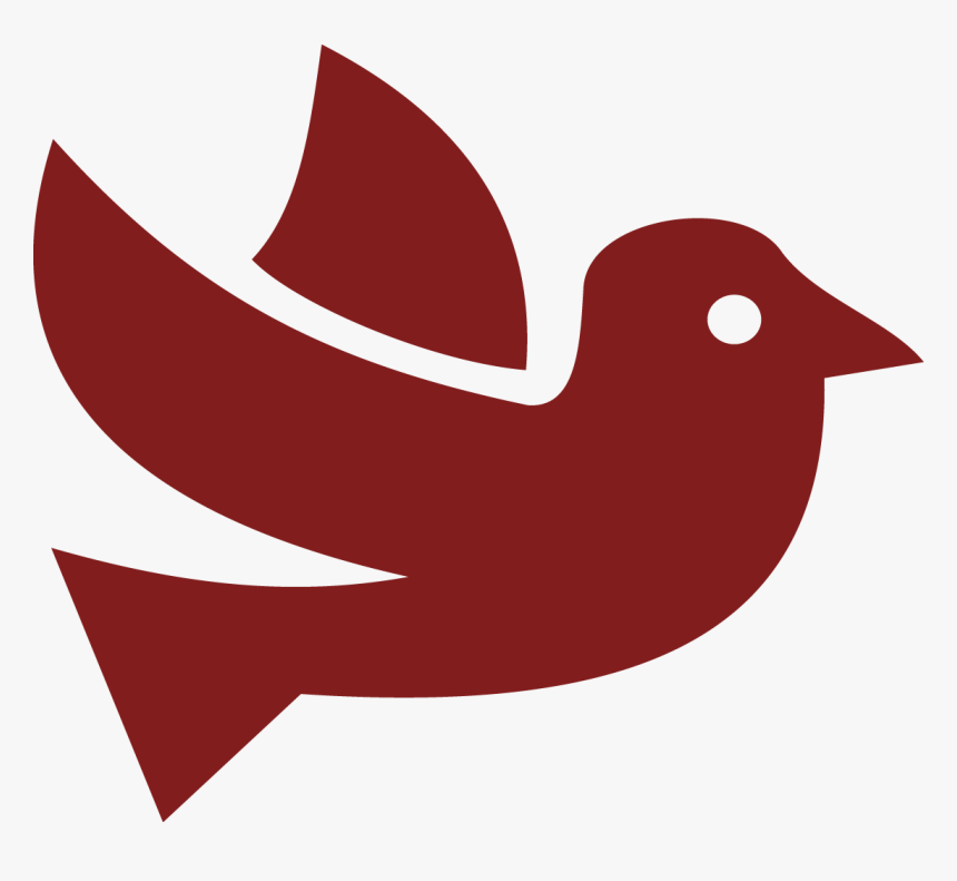 Dove Used At Weddings - Perching Bird, HD Png Download, Free Download