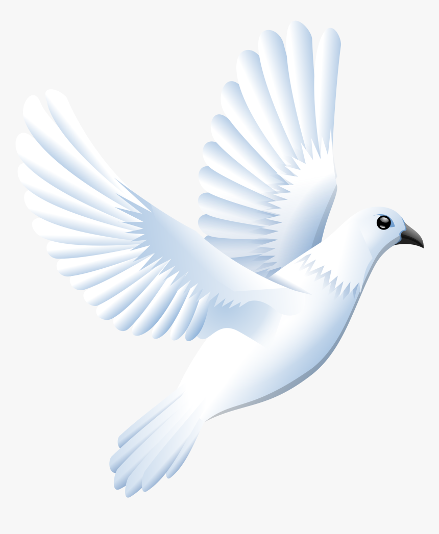 Doves Clipart Feather - Dove White Clipart, HD Png Download, Free Download