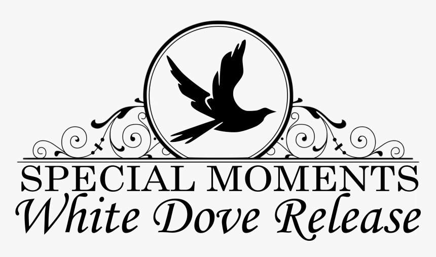 Special Moments White Dove Release, HD Png Download, Free Download