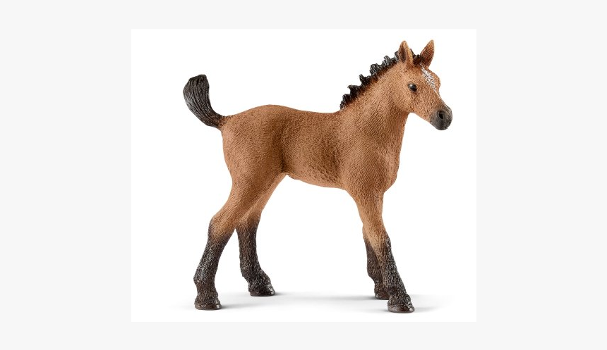Schleich Quarter Horse Exclusive Foal, HD Png Download, Free Download