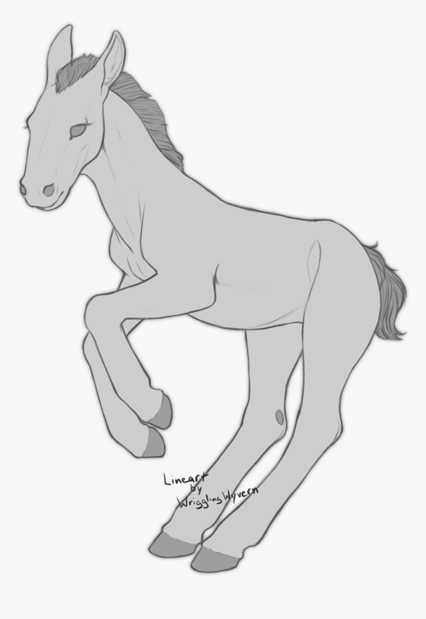 [base]foal - Foal, HD Png Download, Free Download