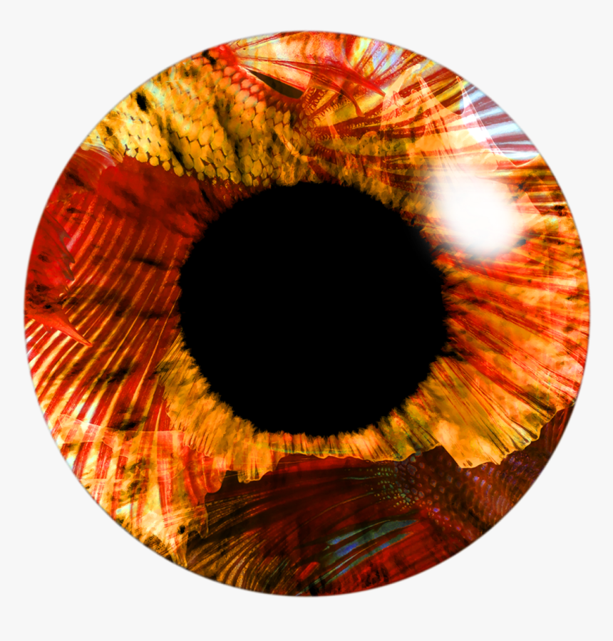 Eye Lens Png Image Hd - Light Picsart Png, Transparent Png, Free Download