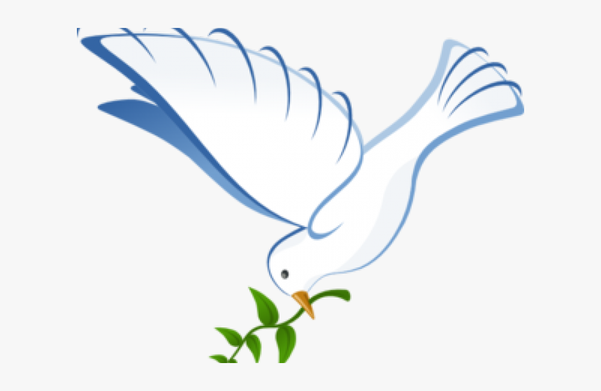 White Dove Clipart Vector, HD Png Download, Free Download
